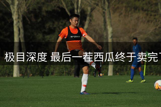 极目深度 最后一茬西瓜终于卖完了，河南瓜农面临“选择困难症”：明年继续种瓜，还是改种别的？